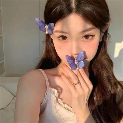 伊普克雷斯档案