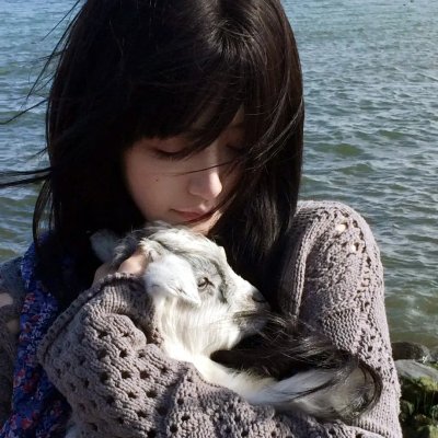 忽如一夜春风来